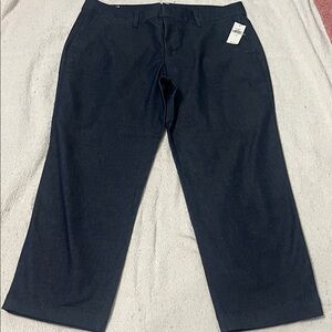 (315)GAP Women's Dark Blue Cropped Pants